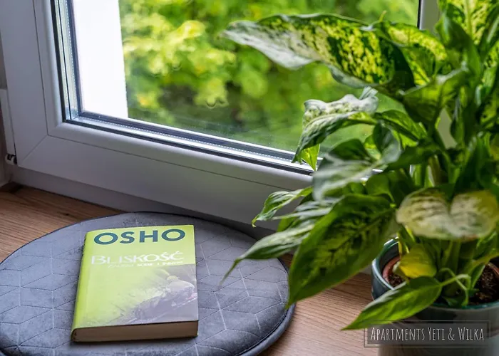 Yeti & Wilka W Centrum Chorzowa: Wilk